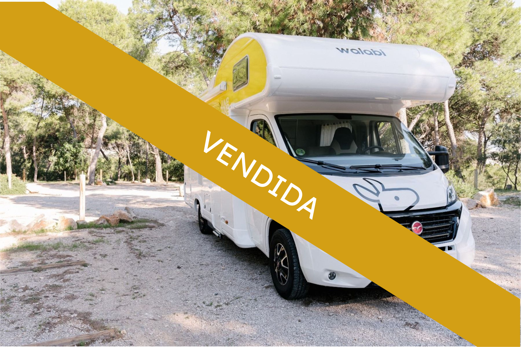 autocaravana-capuchina-etrusco-portada-valcaravan